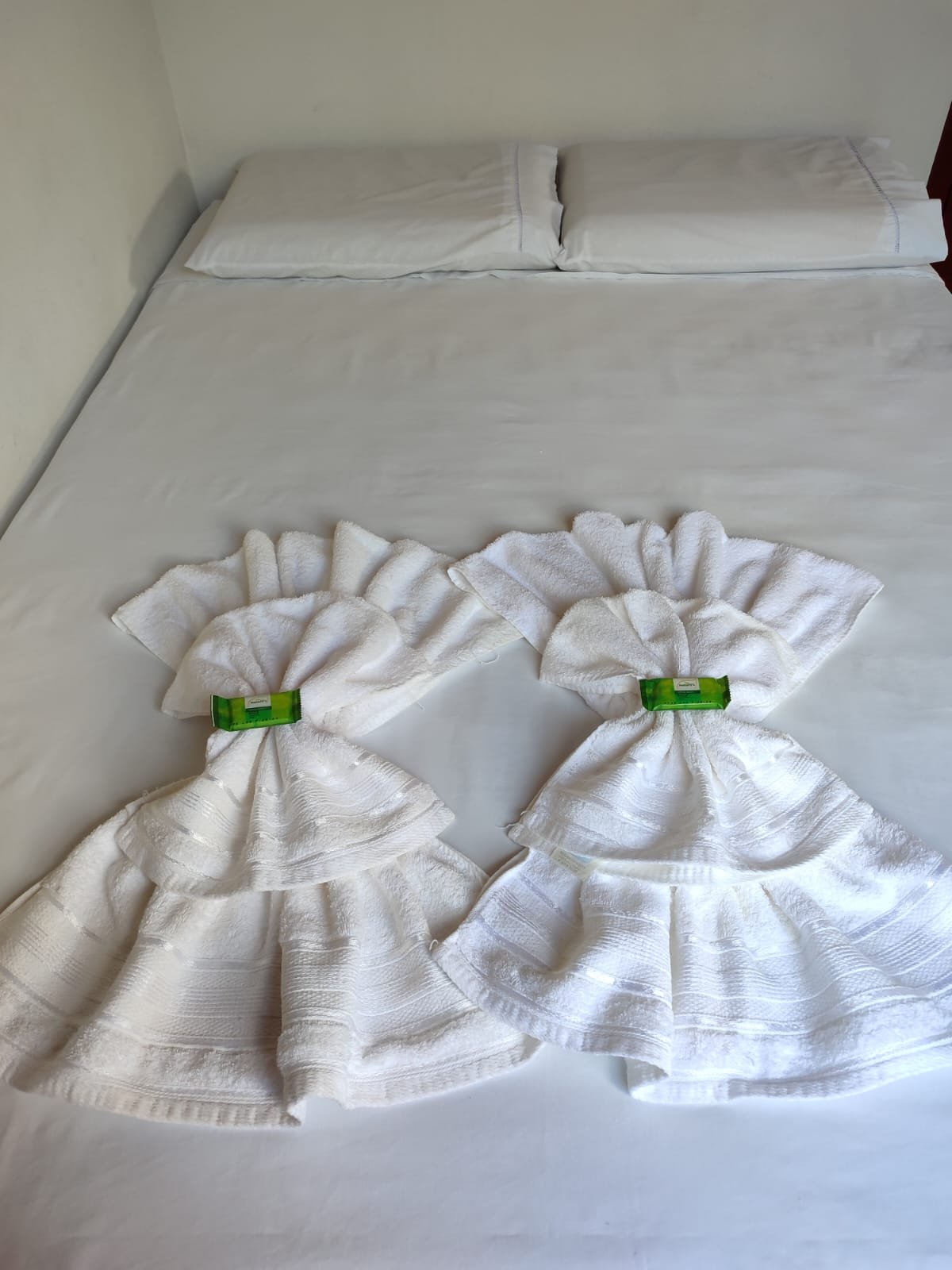 PHOTO-2024-04-18-17-45-02