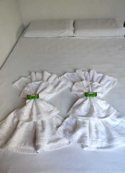 PHOTO-2024-04-18-17-45-02